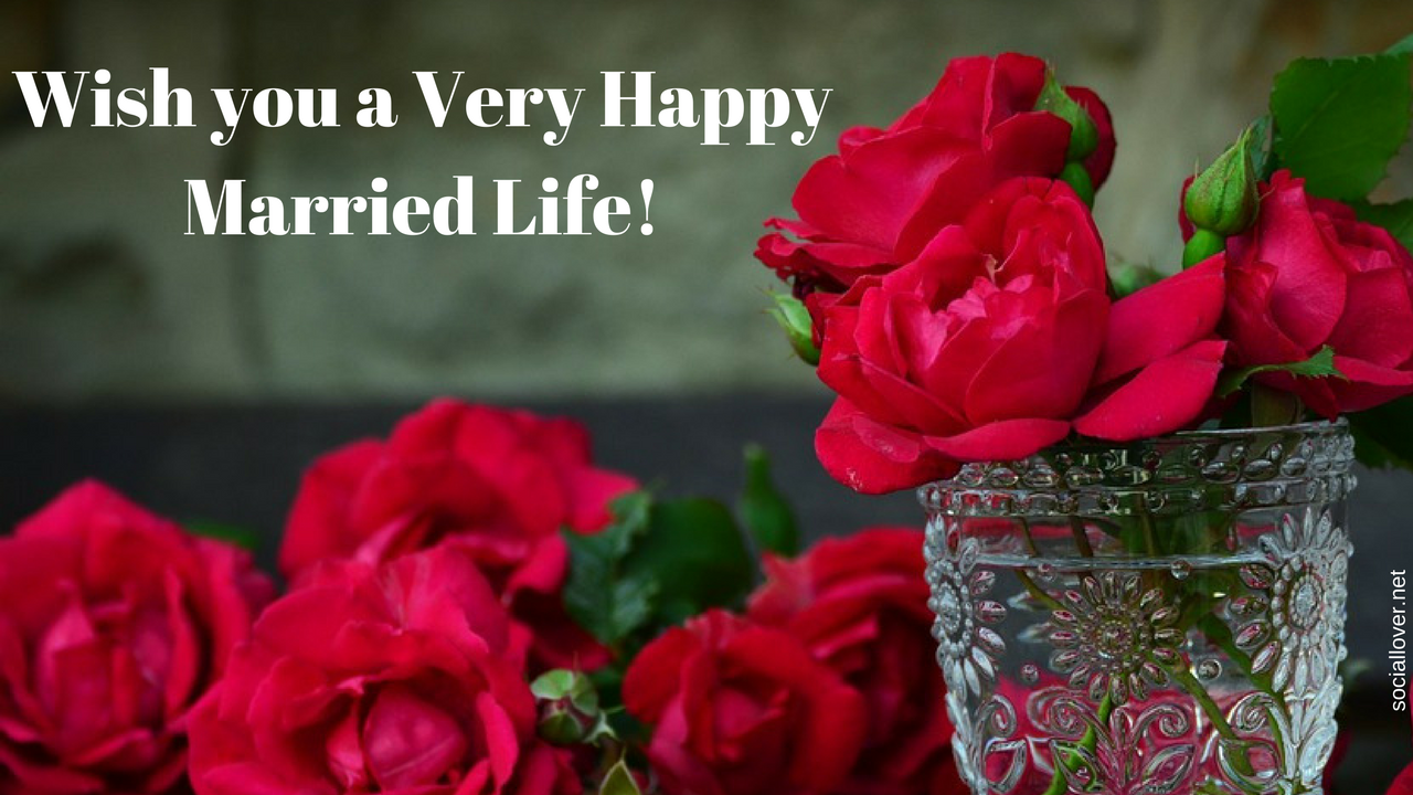 happy-wedding-day-wishes-happy-married-life-quotes-happy-married-life