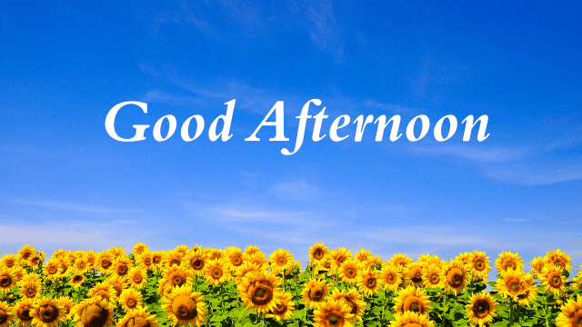 Good Afternoon HD Images Pictures Photos Wallpapers Quotes Messages