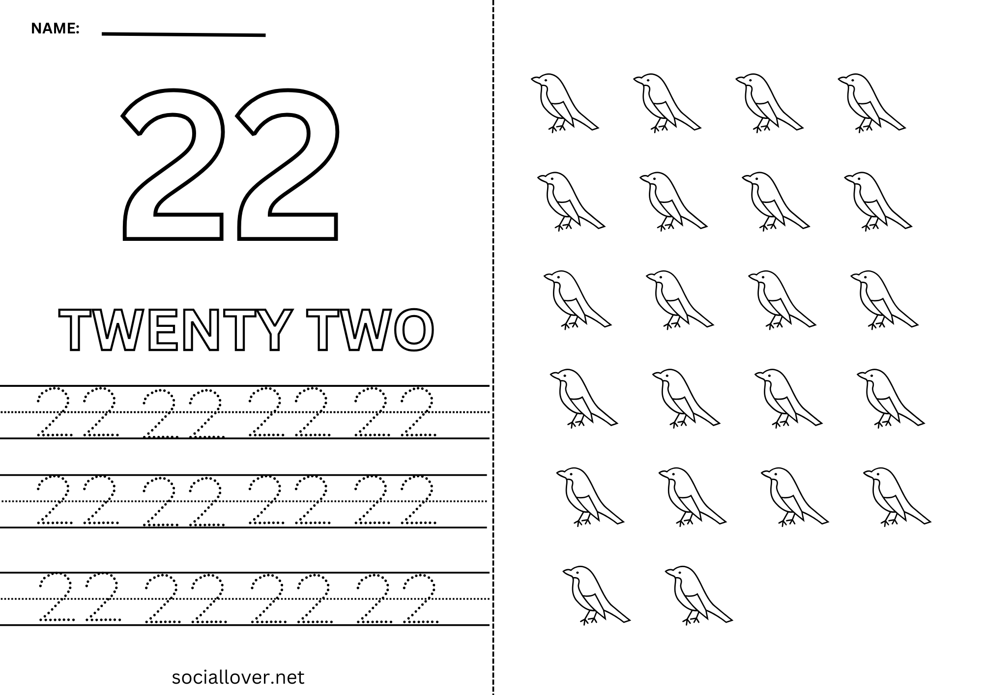 Read Write Count and Trace Math number 22 Practice worksheet