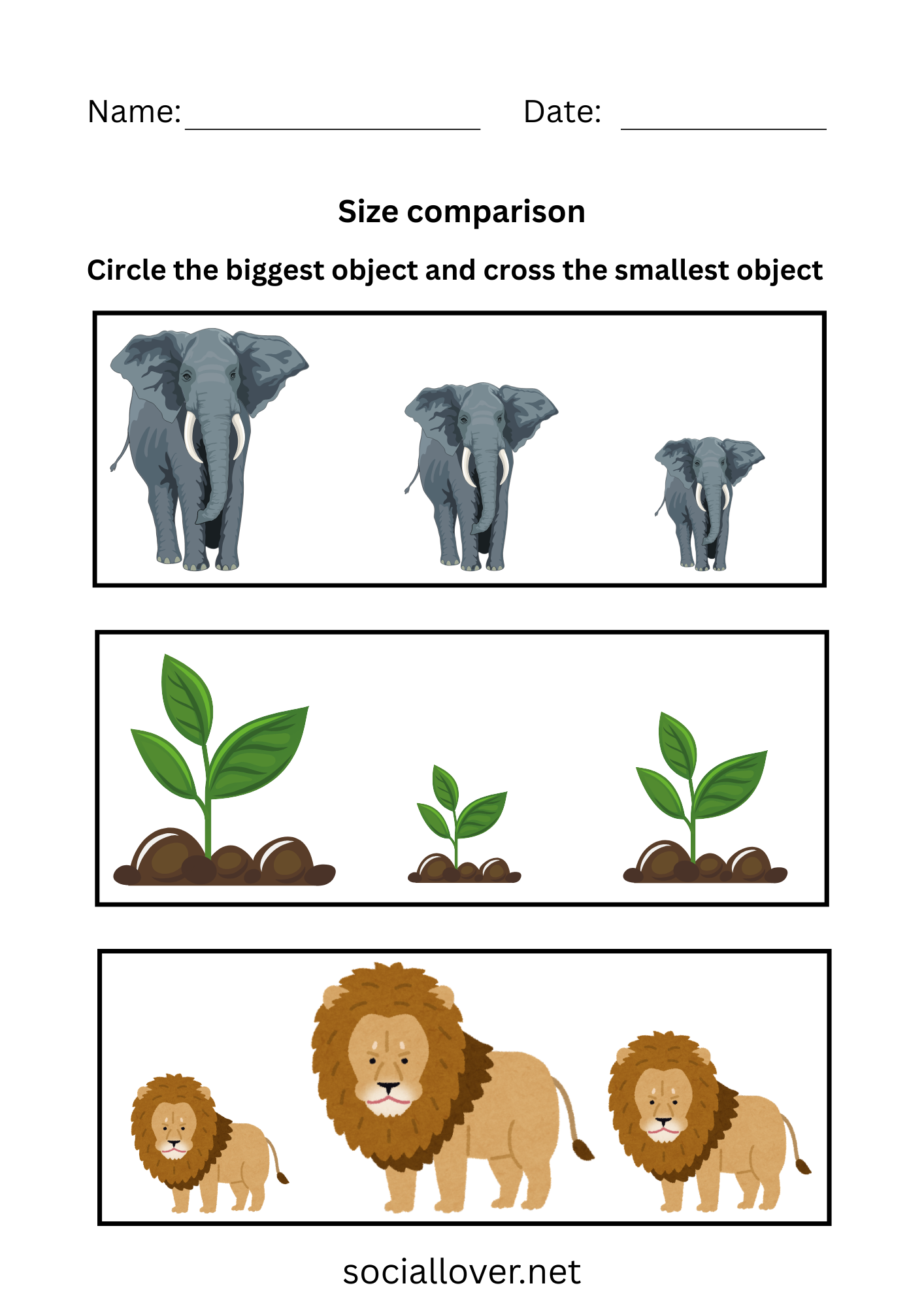 Biggest and smallest size worksheets PDF Printable