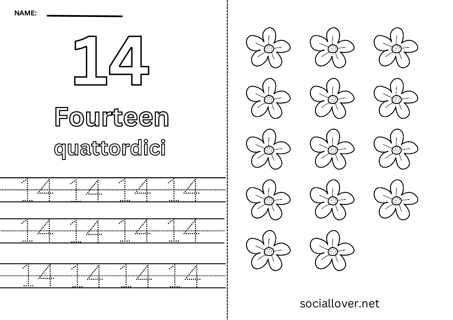 Bilingual Italian Number 14 Worksheet