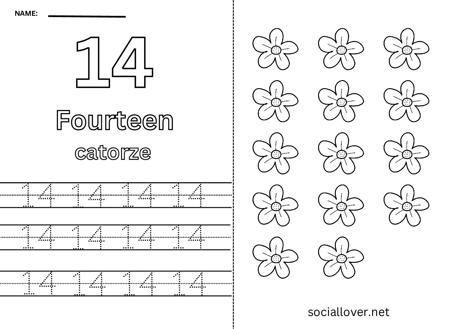 Bilingual Portuguese Number 14 Worksheet