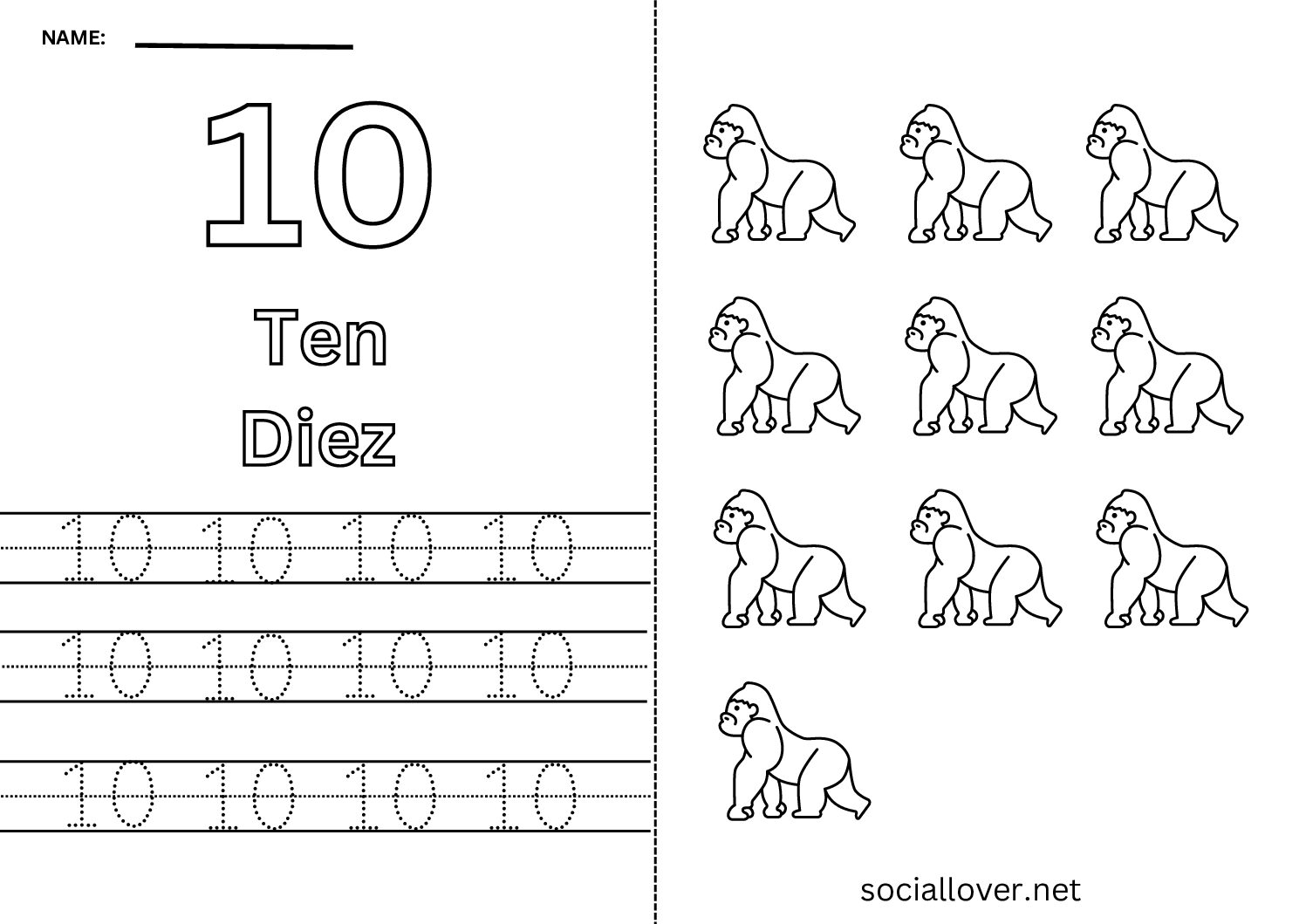 Bilingual Spanish Number 10 (Diez) Worksheet