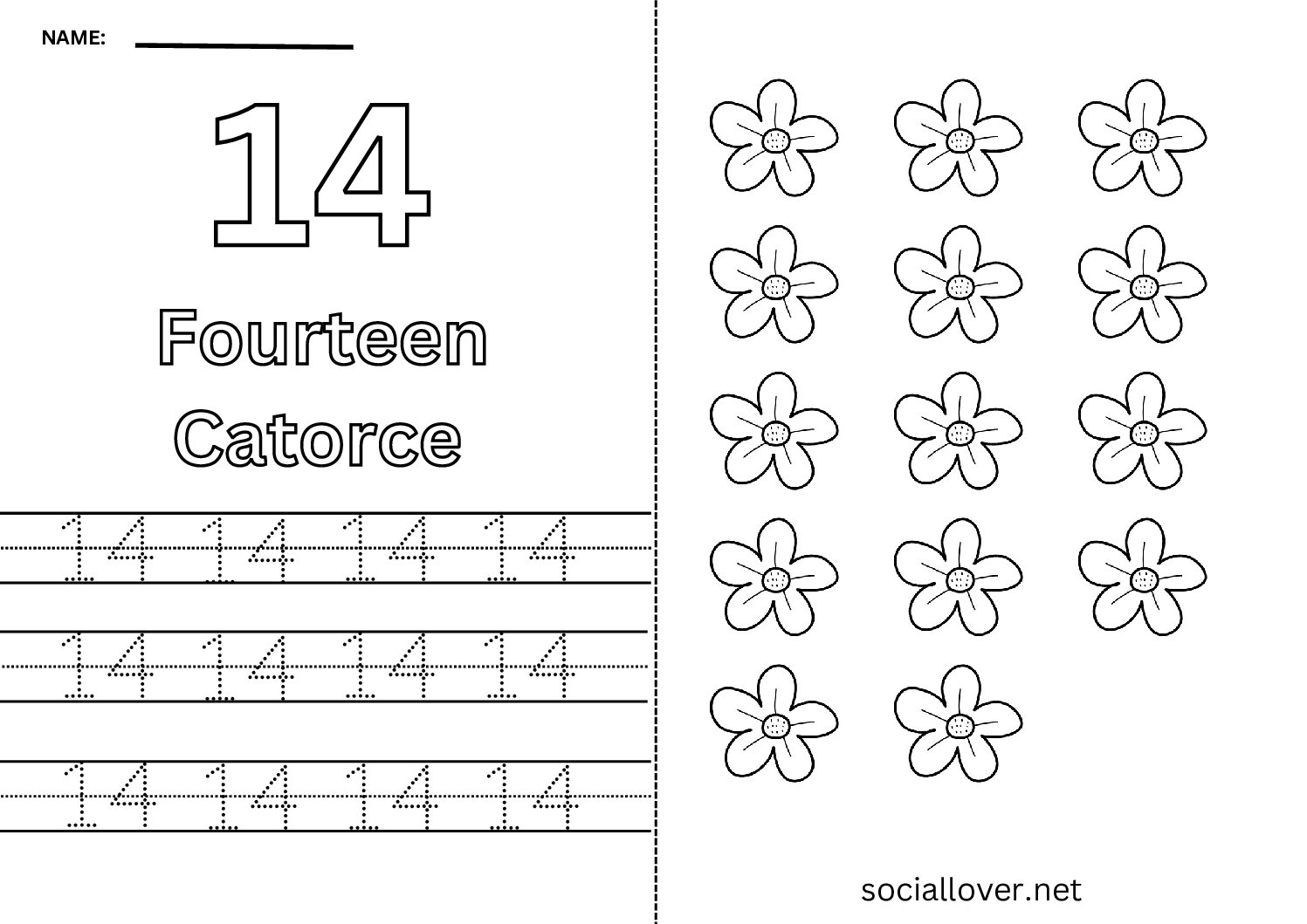 Bilingual Spanish Number 14 (Catorce) Worksheet