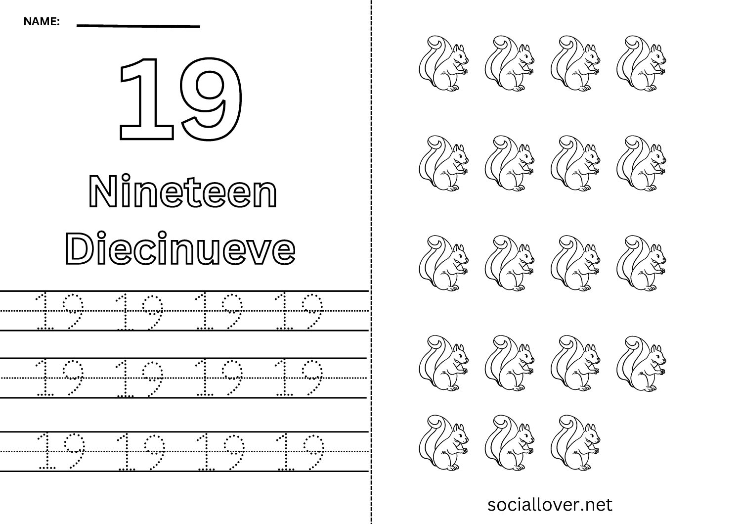 Bilingual Spanish Number 19 (Diecinueve) Worksheet