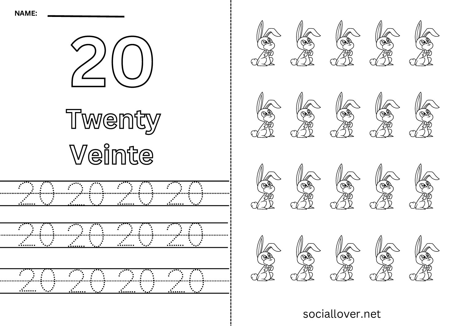 Bilingual Spanish Number 20 (Veinte) Worksheet