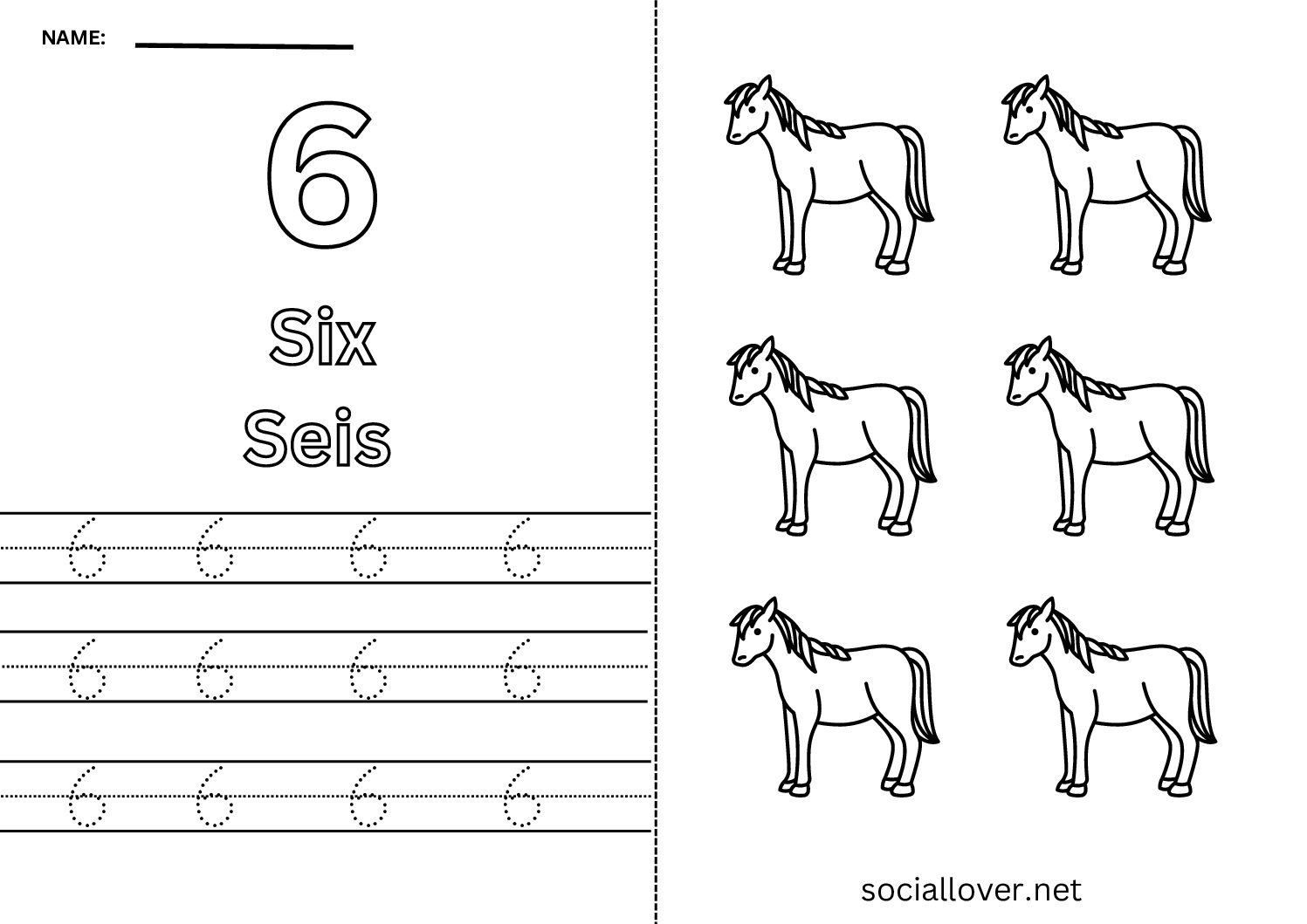 Bilingual Spanish Number 6 (Seis) Worksheet
