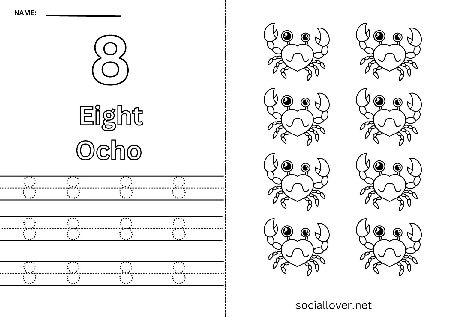 Bilingual Spanish Number 8 (Ocho) Worksheet